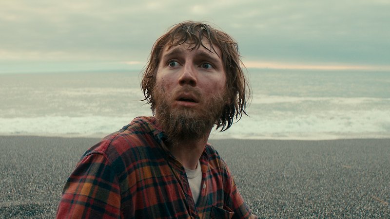 Swiss Army Man (image 3)