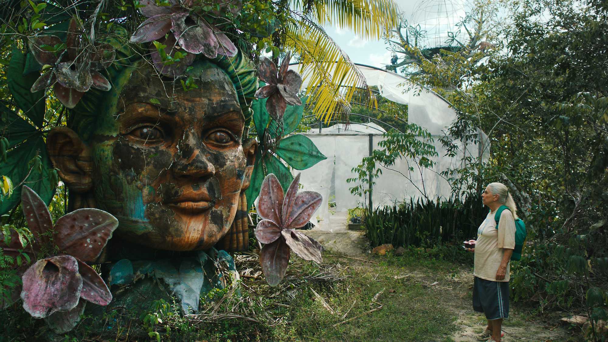 The Blue Trail (image 1)