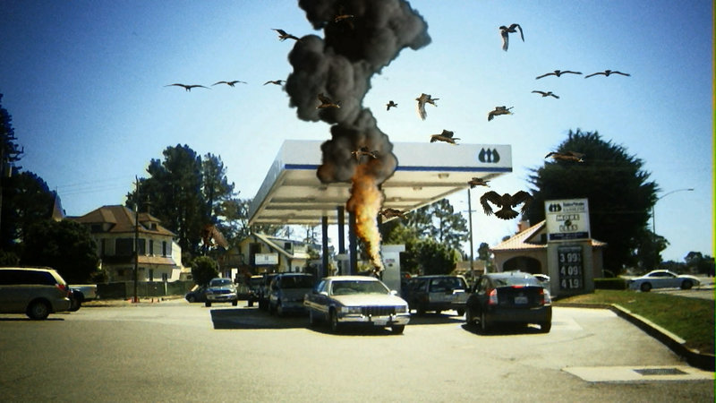 Birdemic: Shock and Terror (image 1)