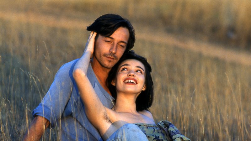 Betty Blue [Director’s Cut] (image 1)