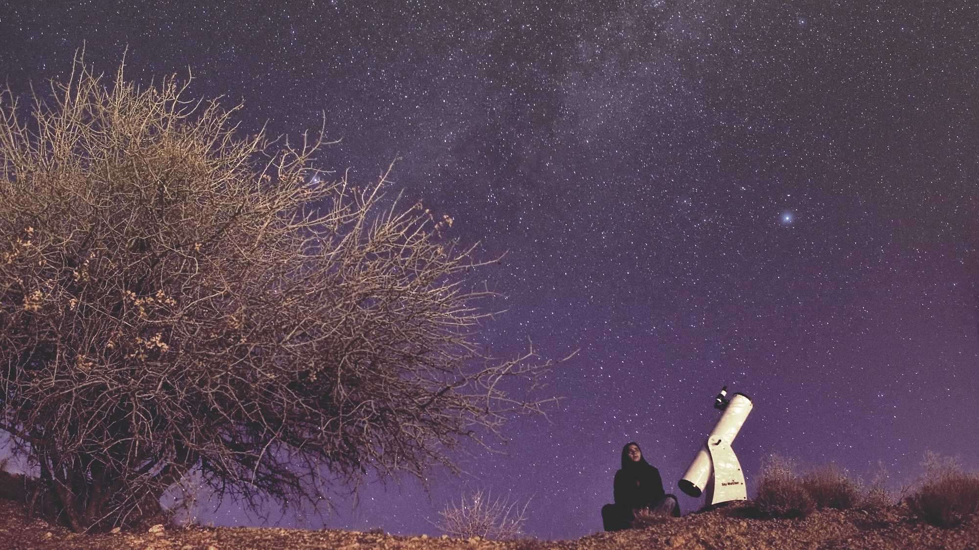 Sepideh - Reaching for the Stars (image 3)