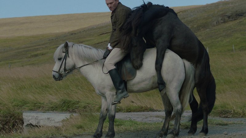 Of Horses and Men (image 1)