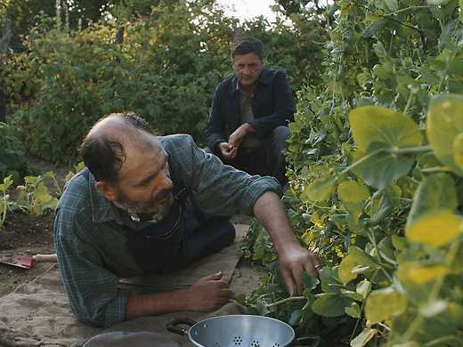 Conversations with My Gardener