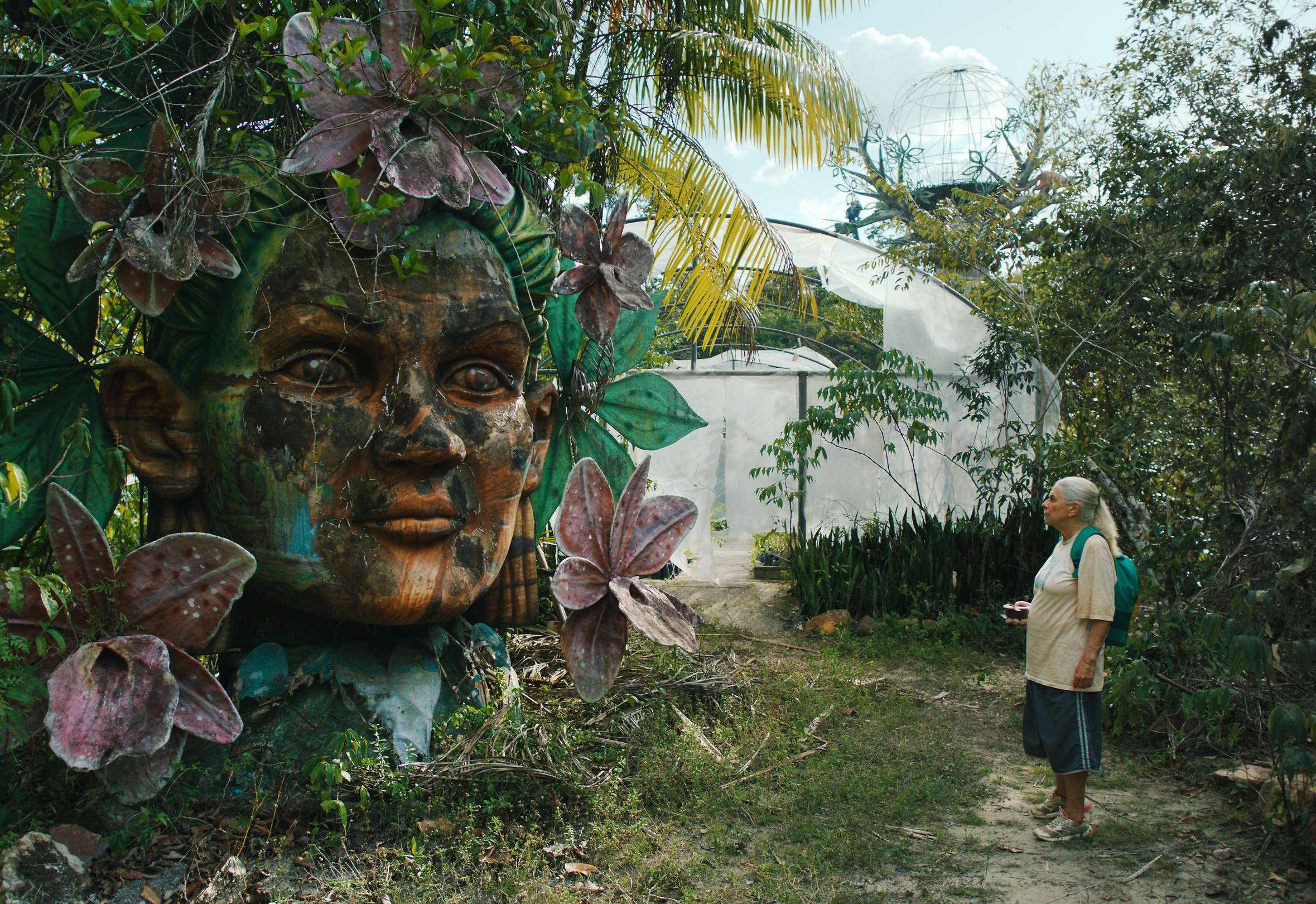 First Films Revealed for NZIFF 2025