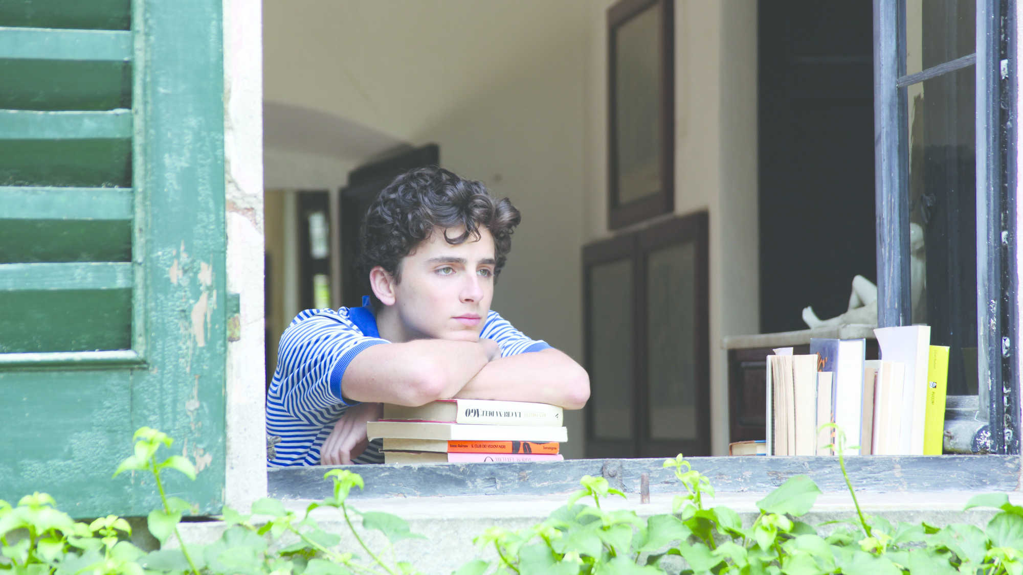 Call Me by Your Name (image 3)
