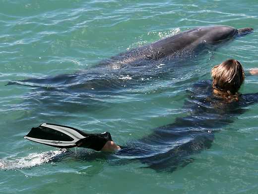 Soul in the Sea