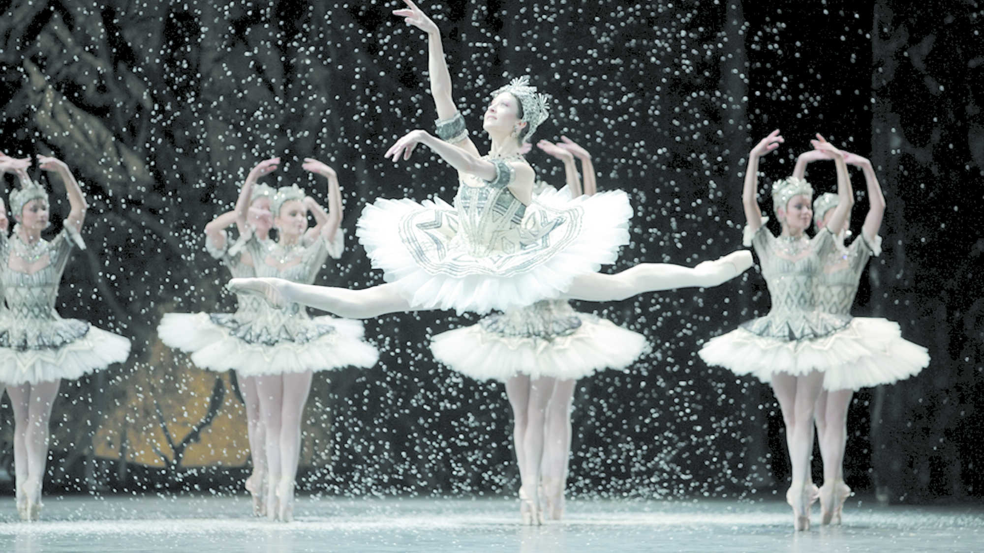 La Danse: The Paris Opera Ballet (image 1)