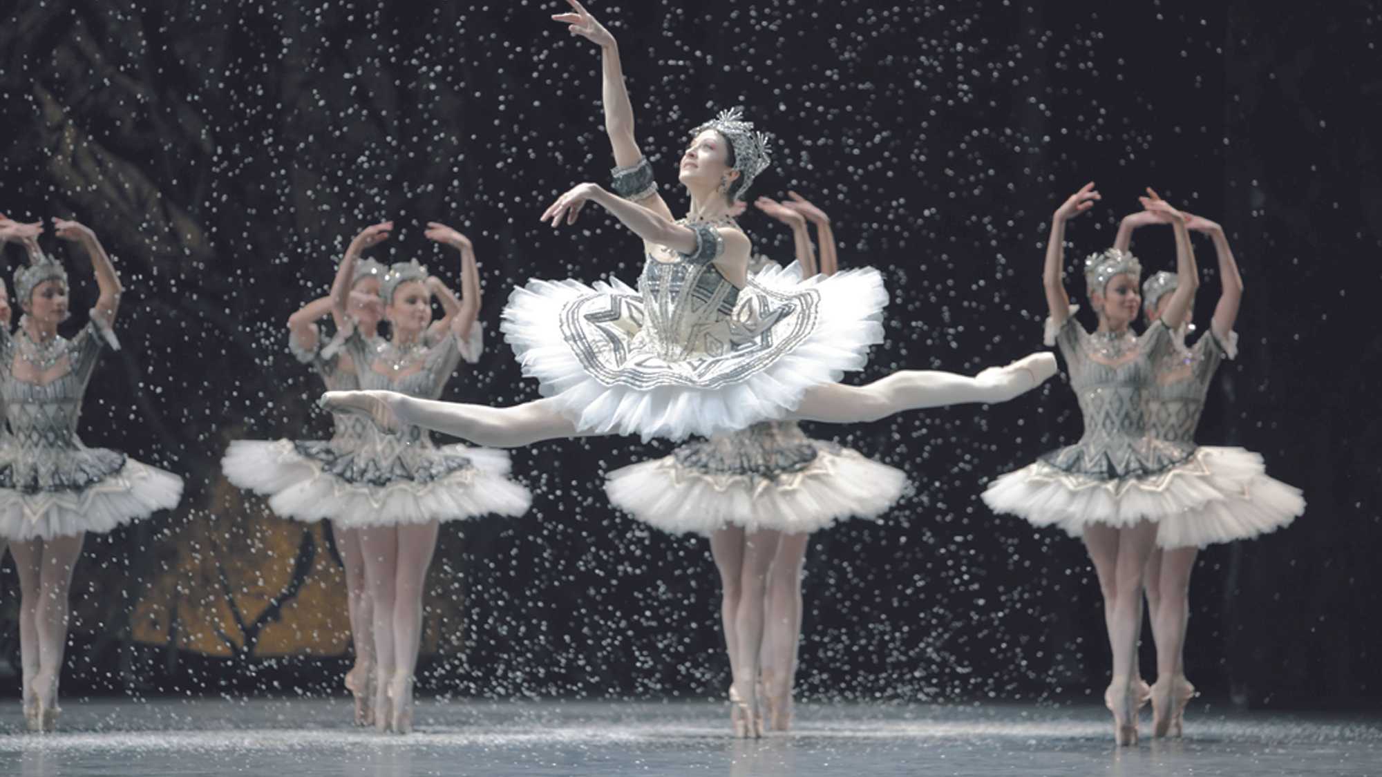 La Danse: The Paris Opera Ballet (image 1)