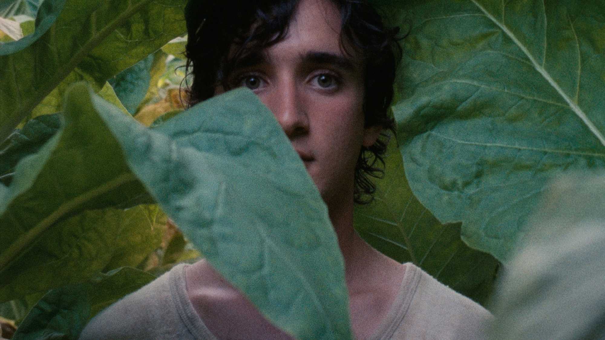 Happy As Lazzaro (image 1)