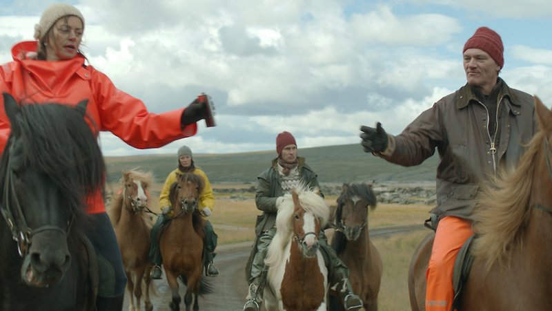 Of Horses and Men (image 3)