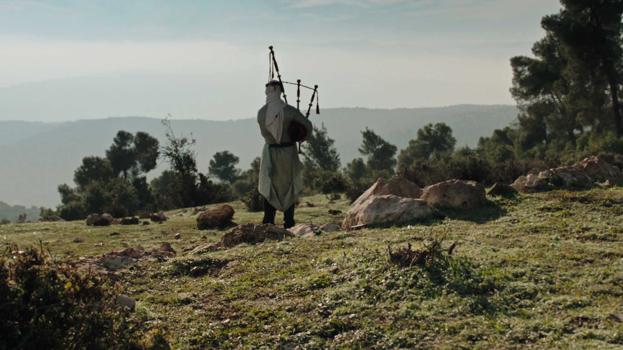 Palestine 36 (image 5)