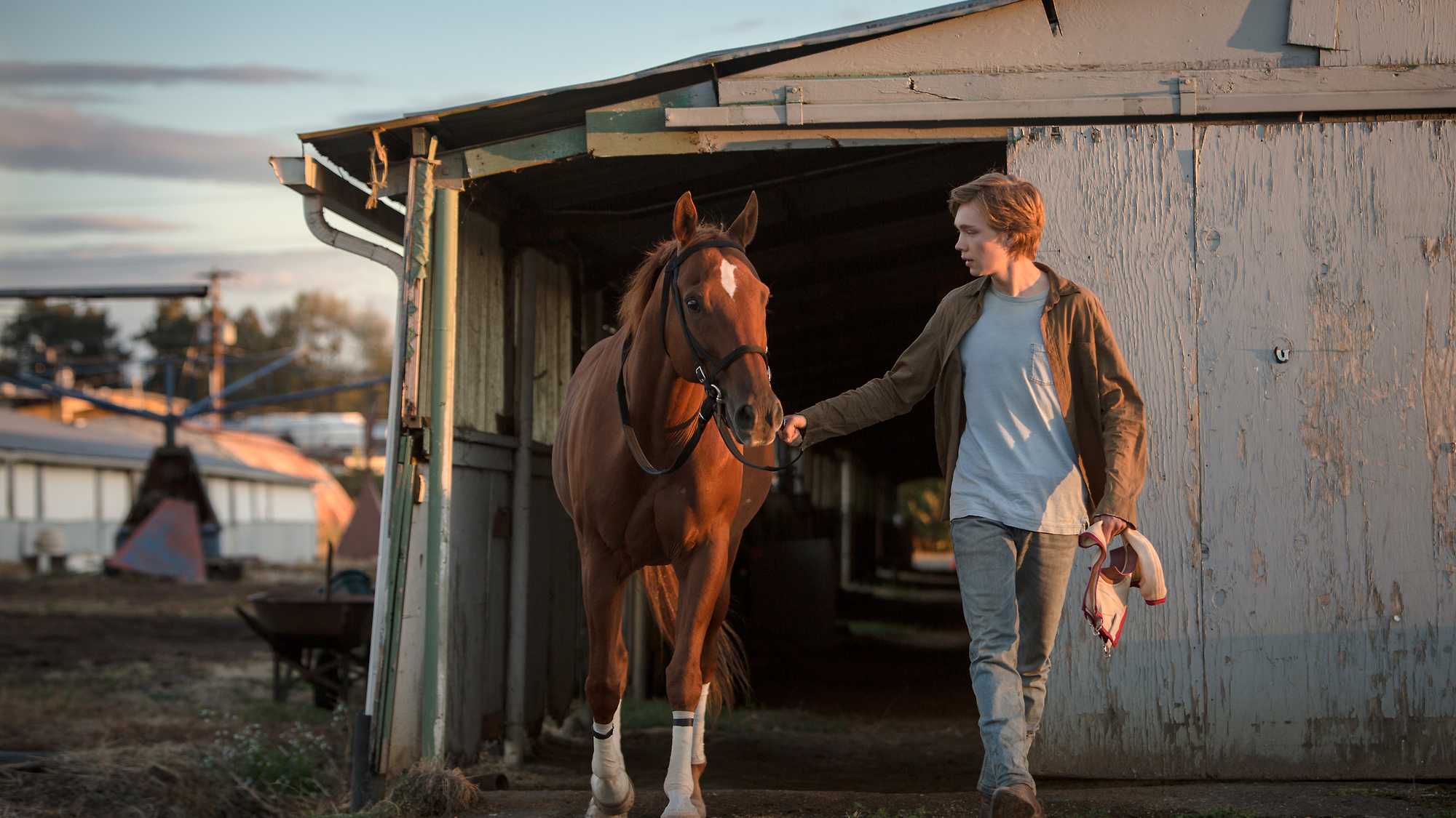 Lean on Pete (image 1)