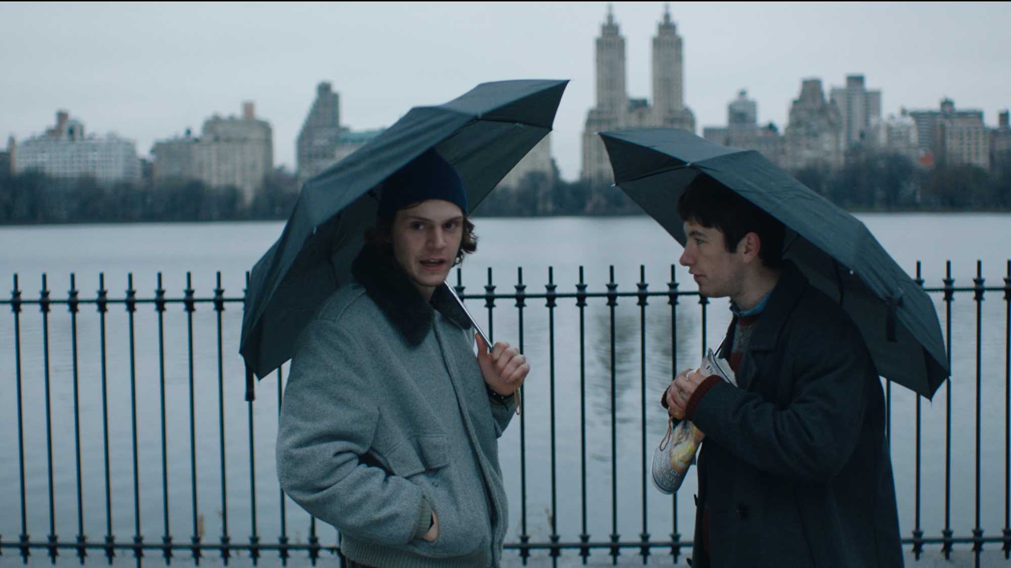 American Animals (image 2)