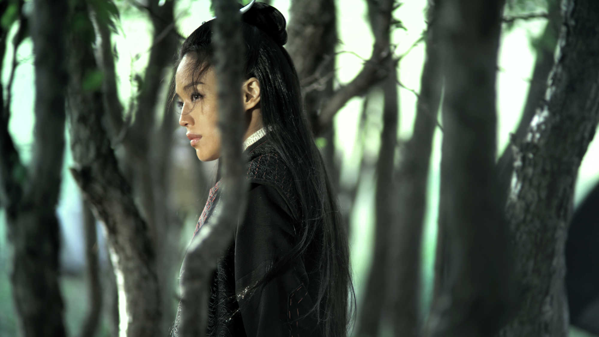 The Assassin (image 3)