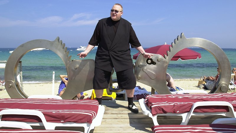 Kim Dotcom: Caught in the Web (image 2)