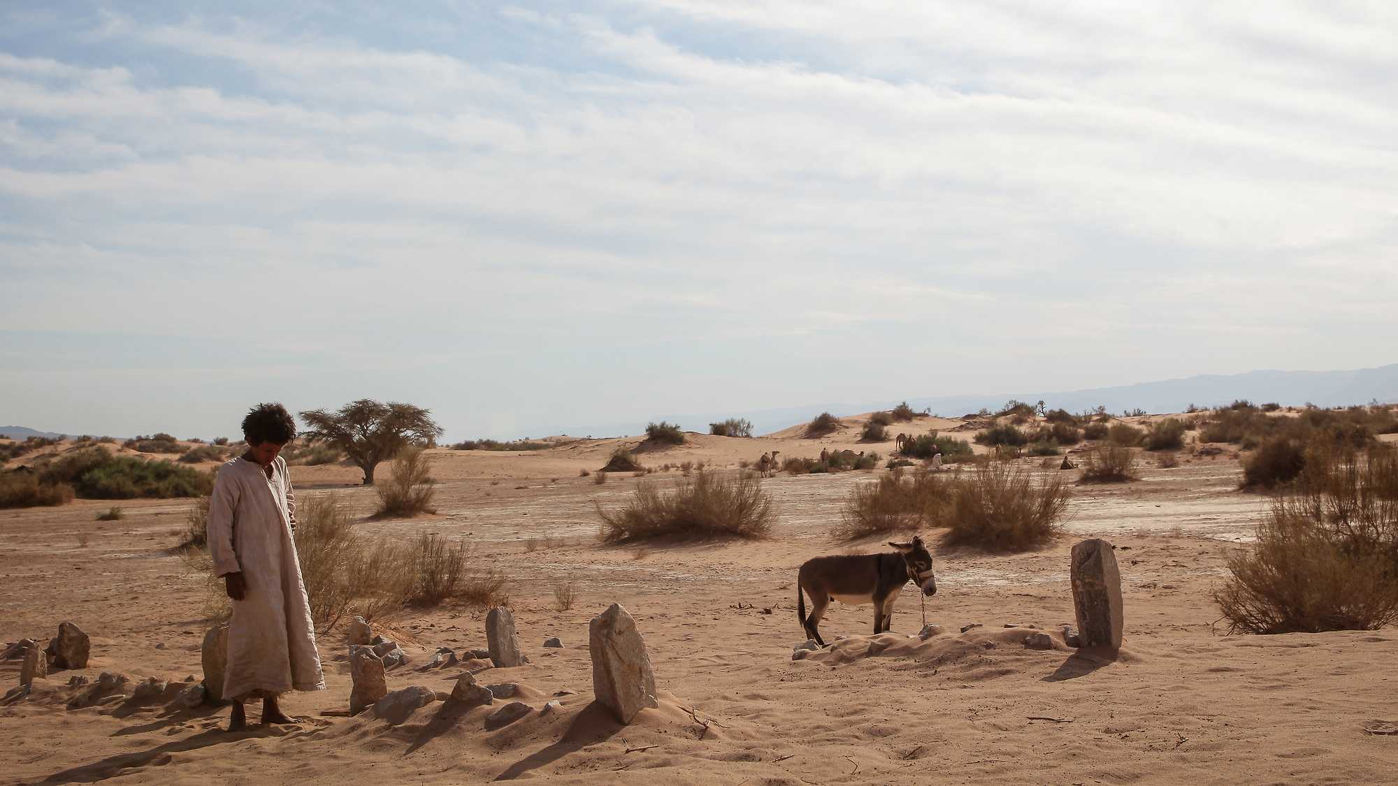 Theeb (image 3)