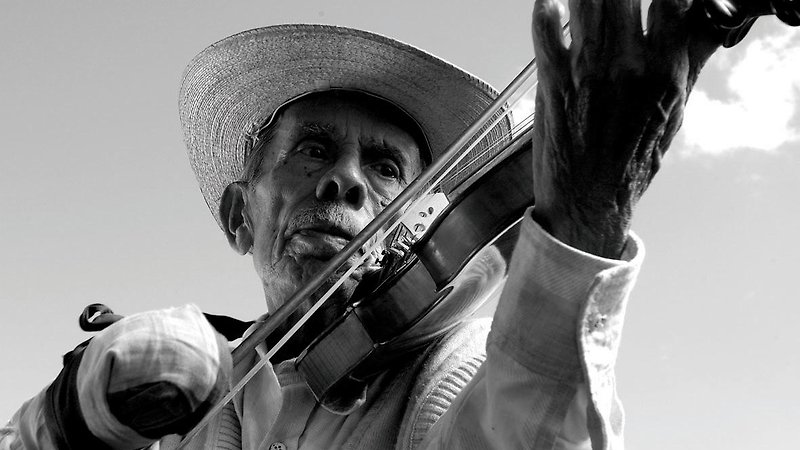 The Violin (image 1)