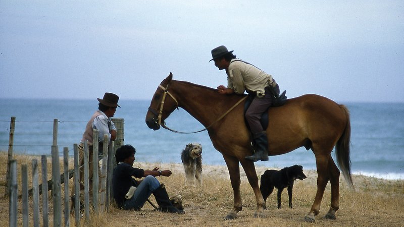 Ngāti (image 1)