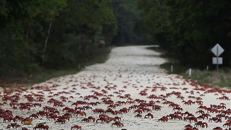 Island of the Hungry Ghosts (image 1)