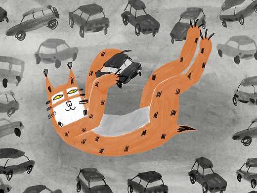 A Lynx in the Town