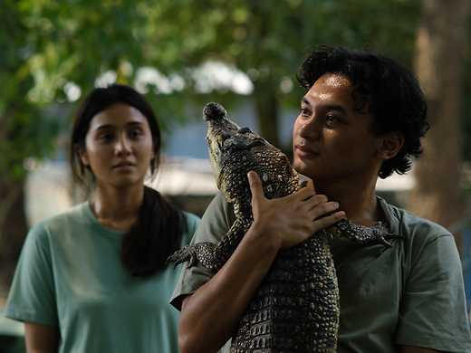 Crocodile Tears