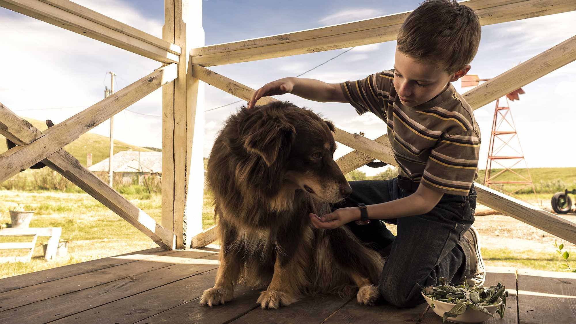 The Young and Prodigious T.S. Spivet 3D (image 9)