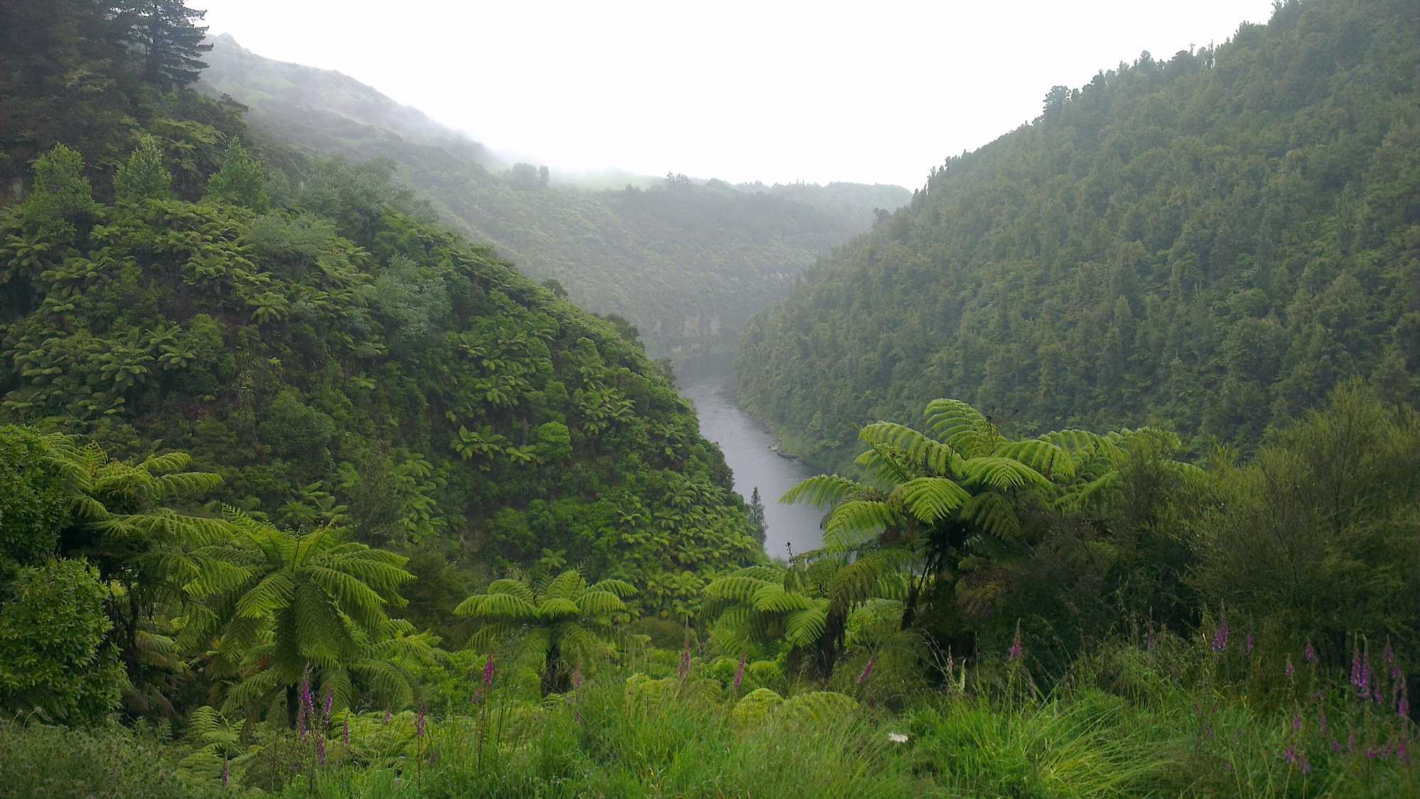 Te Awa Tupua - Voices from the River (image 4)