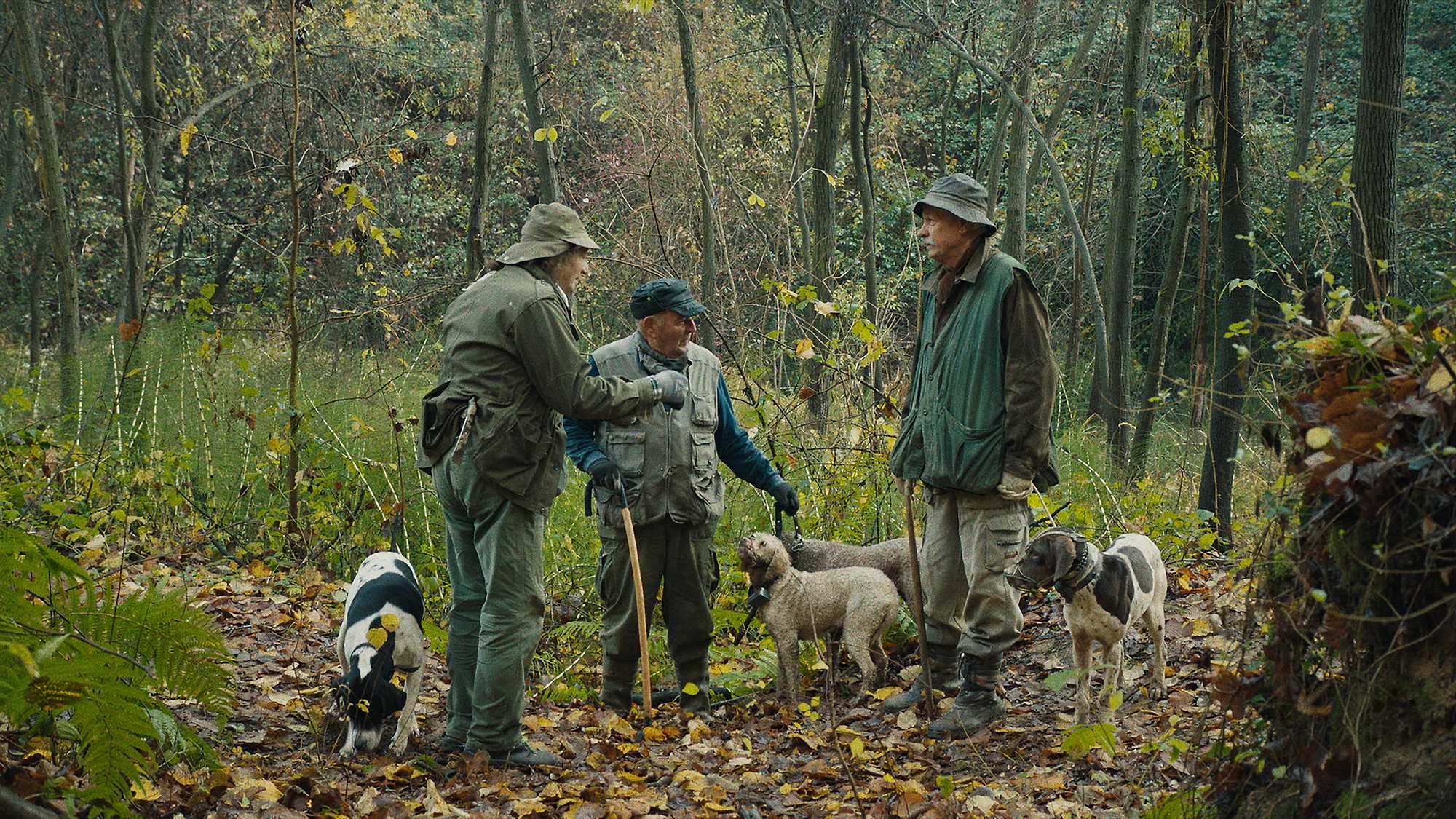 The Truffle Hunters (image 2)