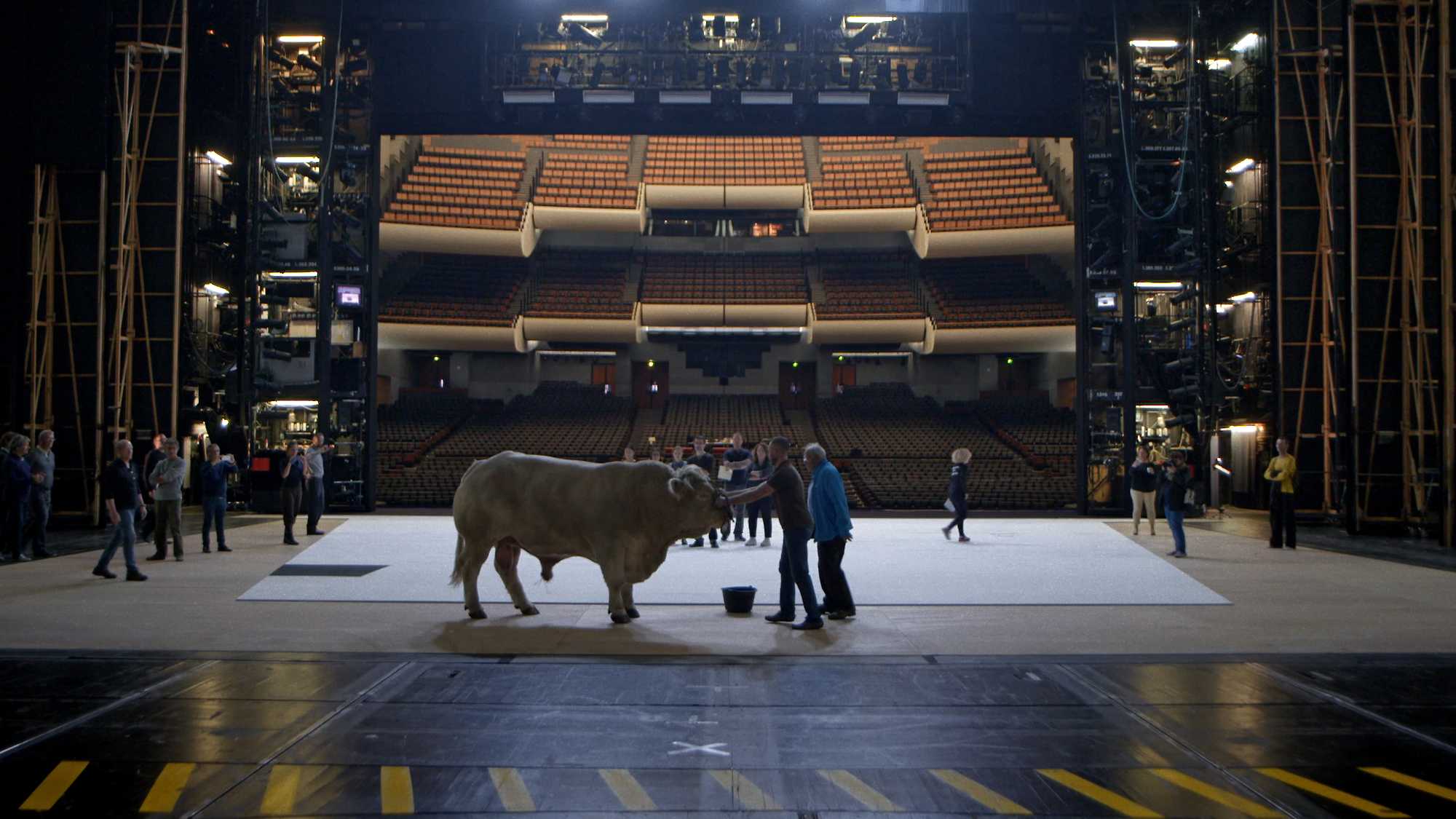 The Paris Opera (image 2)